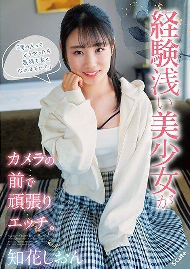 SQTE-513 JAVญี่ปุ่น