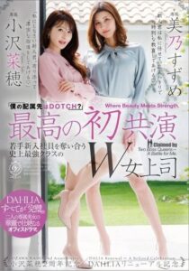 DLDSS-508