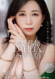 DLDSS-529