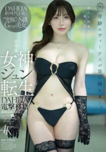 DLDSS-531