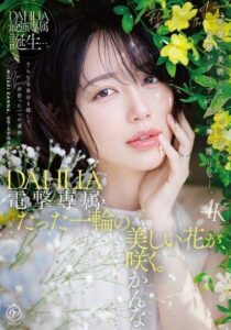 DLDSS-532