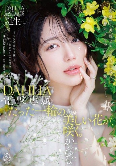 DLDSS-532